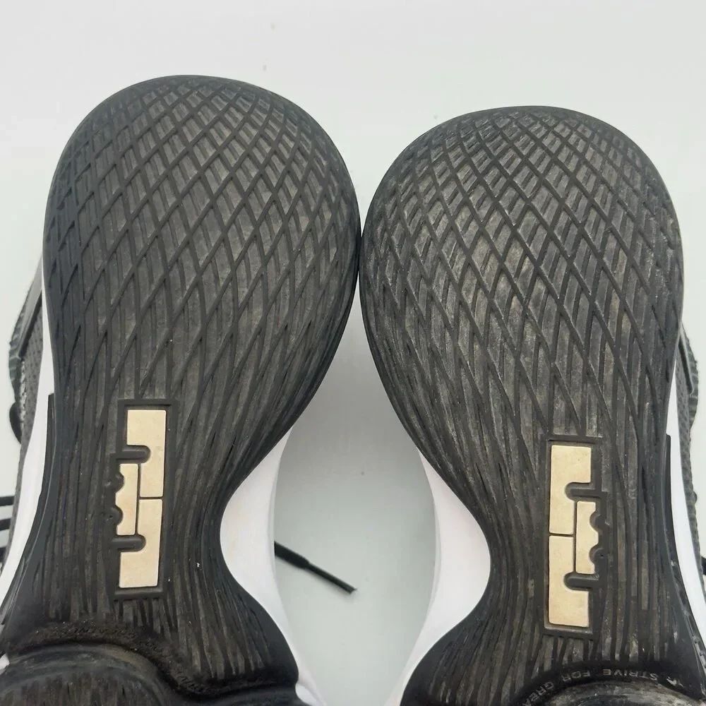 Nike lebron witness